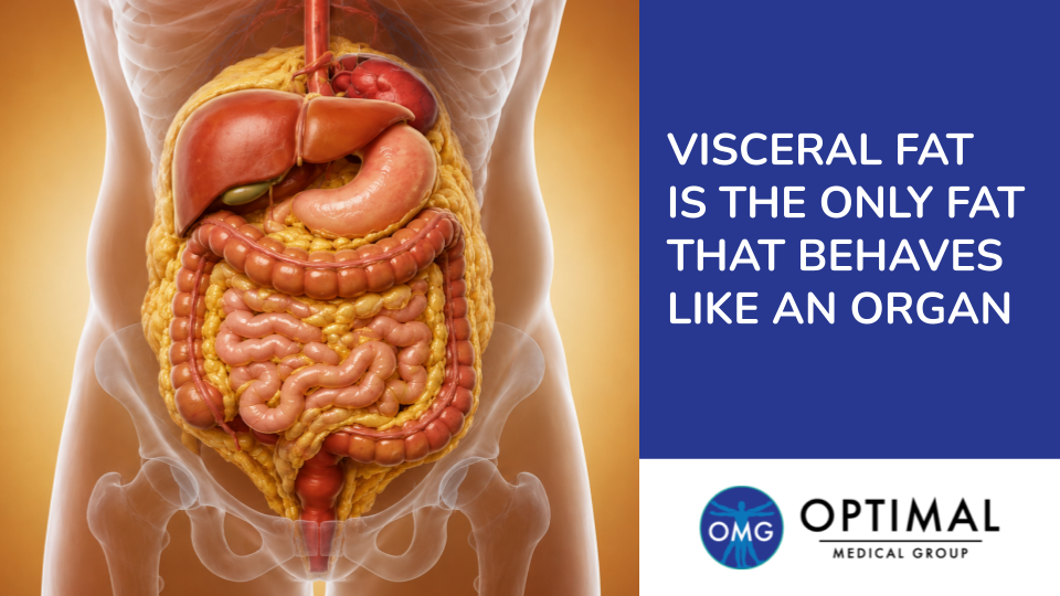 Visceral Fat Is the Only Fat That Behaves Like an Organ by Optimal Medical Group